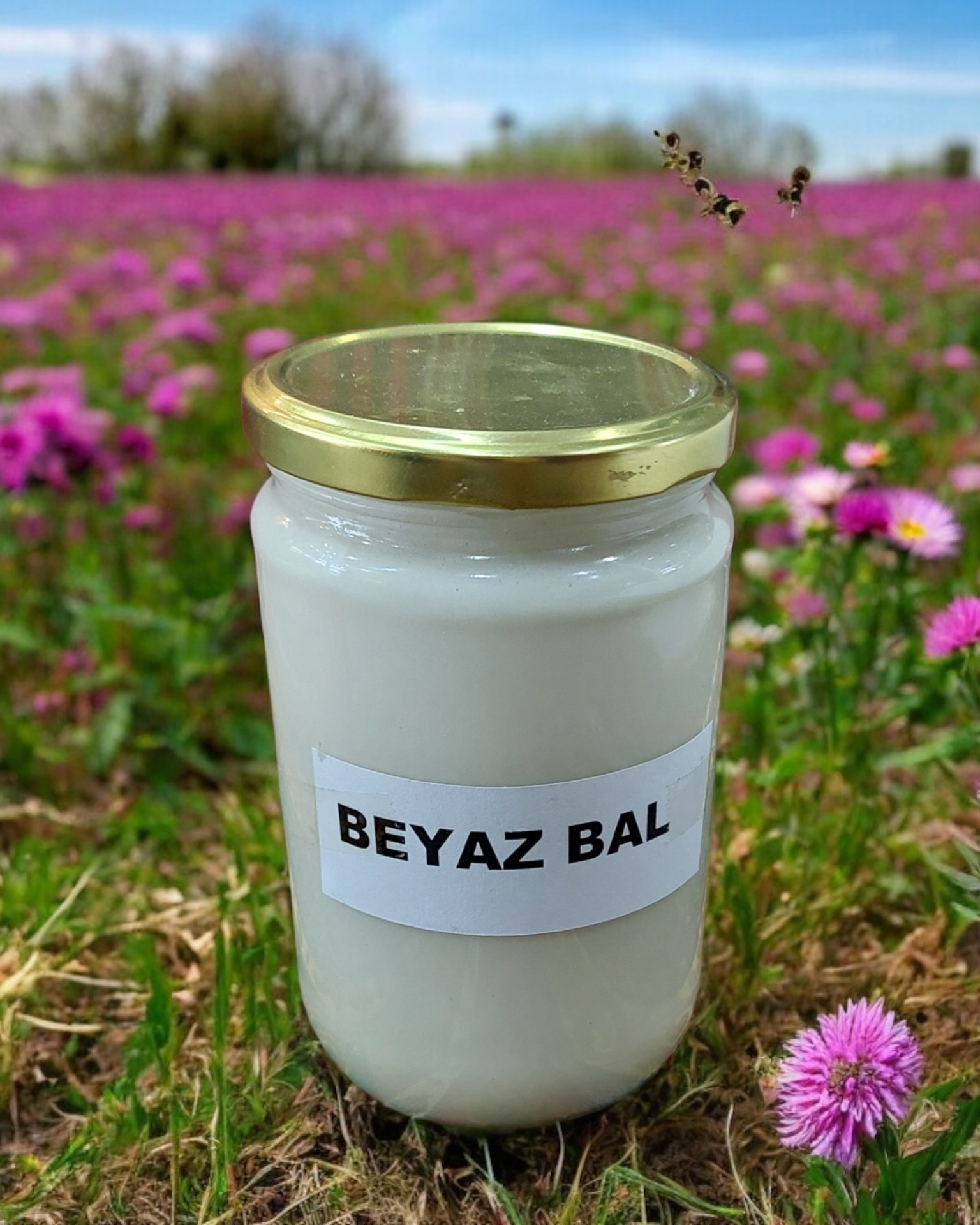 Beyaz Bal