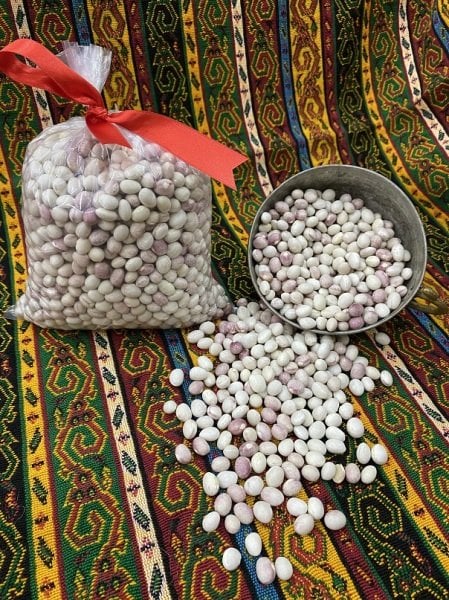 Gümüşhane Organik Köy Fasülyesi(Şeker Fasülye)